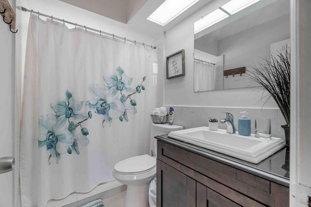 Solymar II Miami Beach House Εξωτερικό φωτογραφία