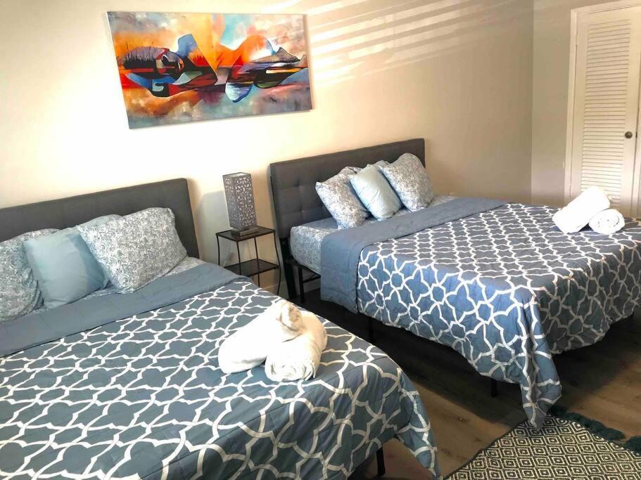 Solymar II Miami Beach House Εξωτερικό φωτογραφία